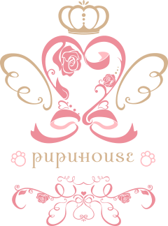 プードル・ビションフリーゼの専門ブリーダー「PUPUHOUSE」